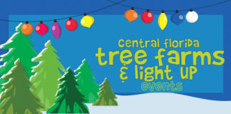 tree farms light up events rectangle e1508341487503