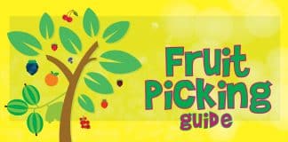 Fruit Picking 1 e1544199943973