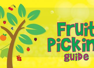 Fruit Picking 1 e1544199943973