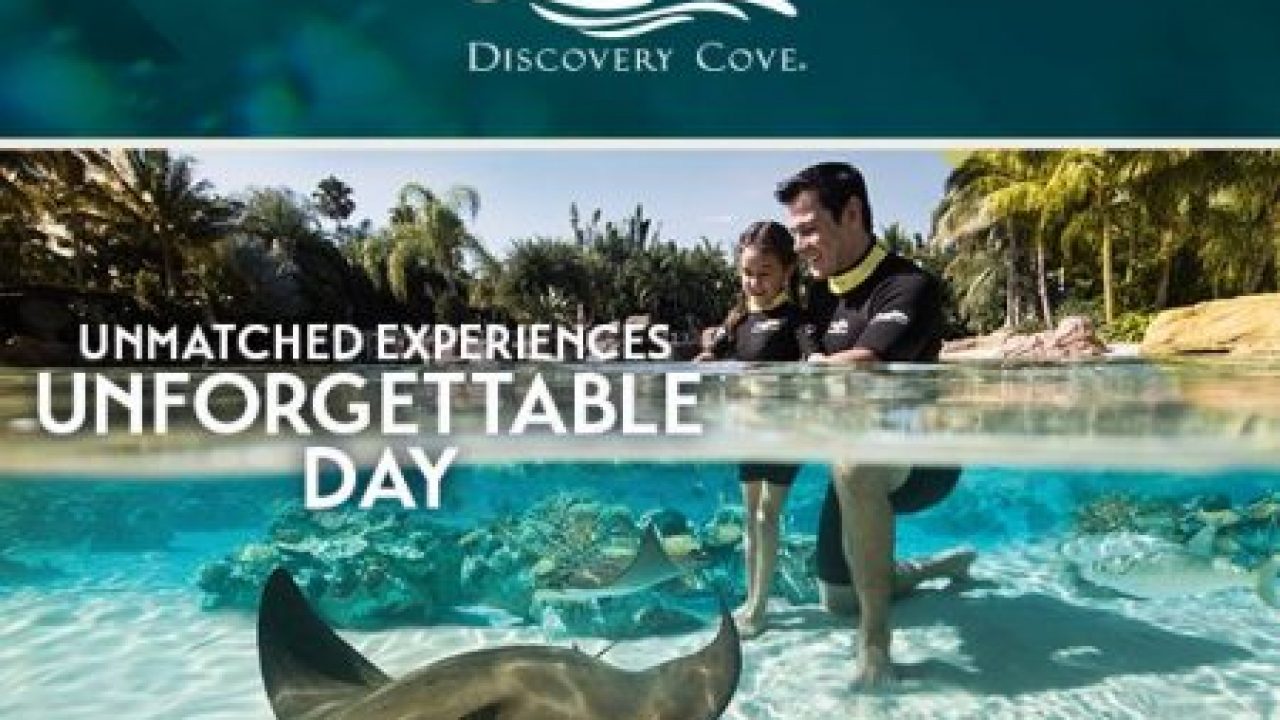 Discovery Cove Is Now A Certified Autism Center