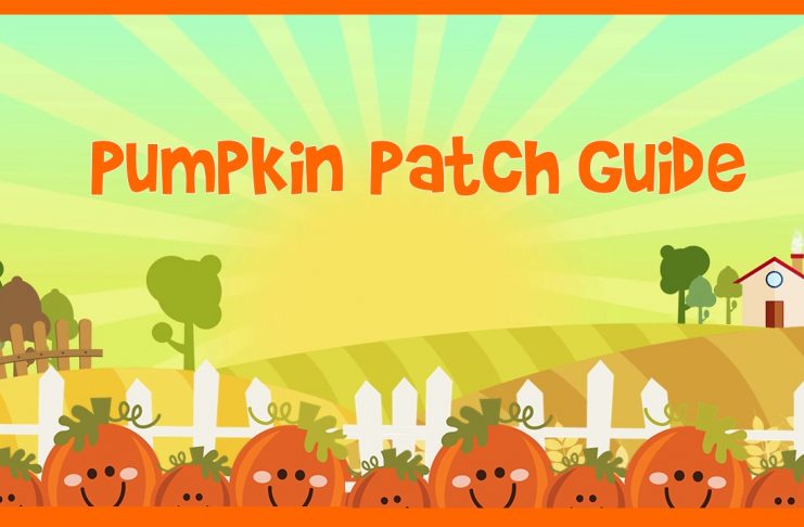 Pumpkin Patch Guide 2 e1539026974929