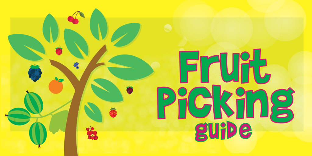 Fruit Farm Picking Guide