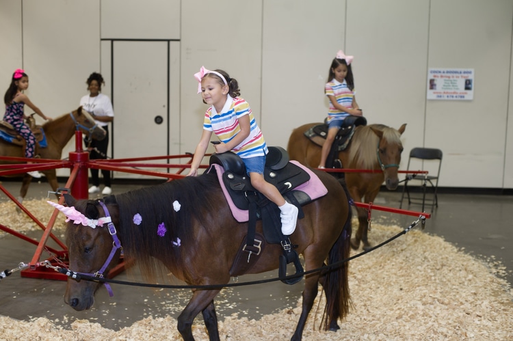 Florida Kids and Family Expo Pony Rides