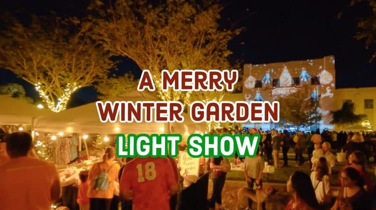 A Merry Winter Garden Light Show Mycentralfloridafamily Com