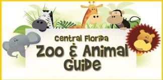 Zoo and Animal Guide