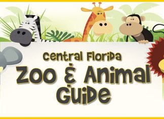 Zoo and Animal Guide