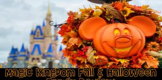 Magic Kingdom Fall Review e1600279763641