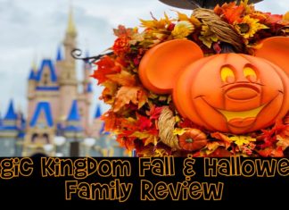 Magic Kingdom Fall Review e1600279763641