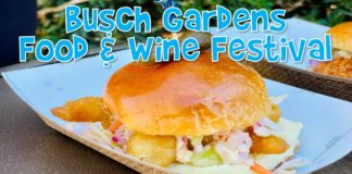 Busch Gardens Food Festival
