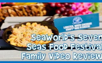 Seven Seas Food Festival 2021 e1613411266690