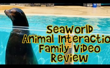 SeaWorld Animal Interaction FVR