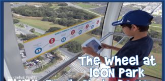 ICON Wheel Family Photo Review