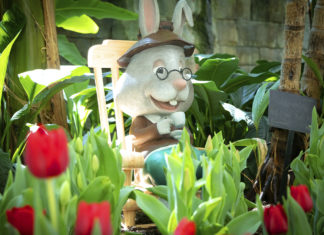 Gaylord Palms Easter Bunny e1643909910239
