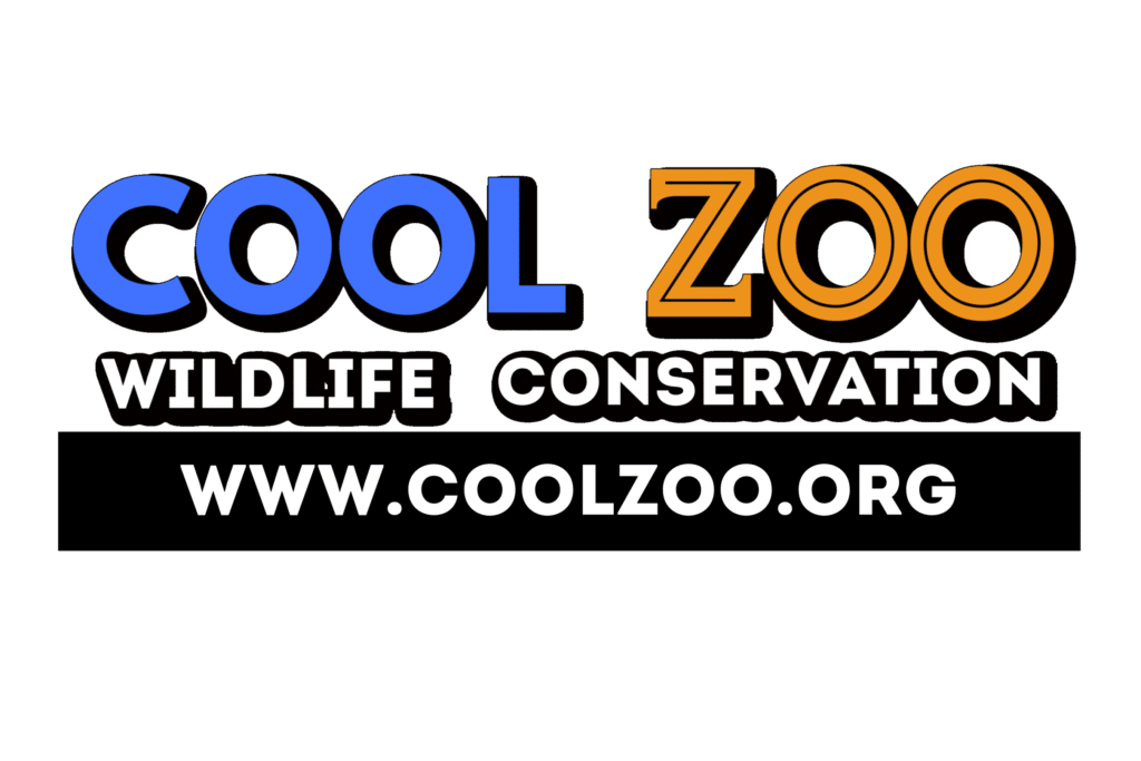 NEW Cool Zoo Wildlife Center Coming to I'Drive in 2023