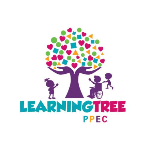 Learning Tree PPEC Orlando