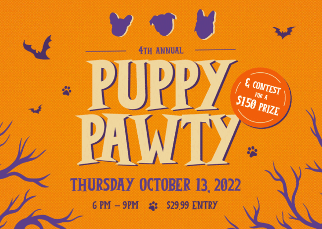Museum of Illusions hosts Puppy Paw-ty 2022