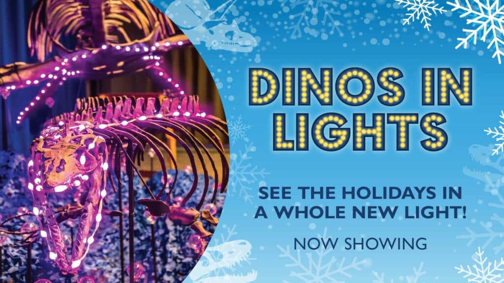 Orlando Science Center Dinos in Lights Show