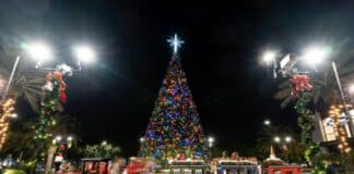 ICON Park Christmas scaled e1669068468697