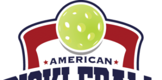 APT Logo