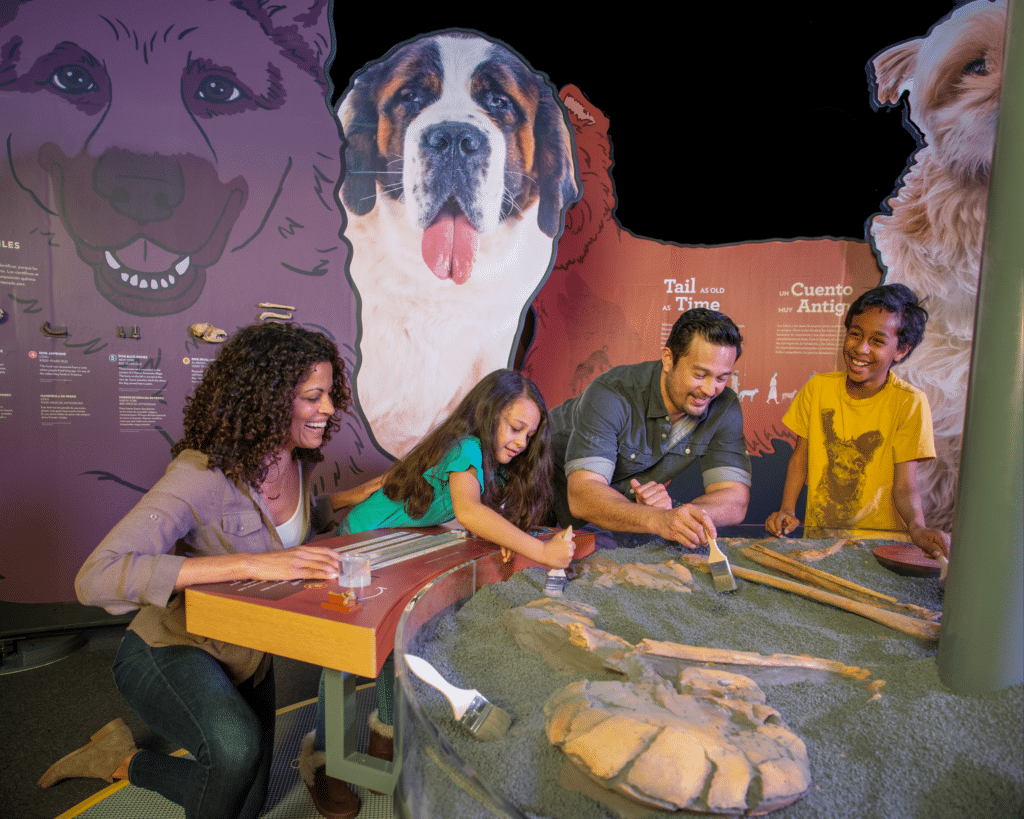 Orlando Science Center Has a Paw-some New Exhibit this Summer