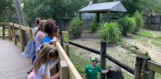 Central Florida Zoo 1024x658
