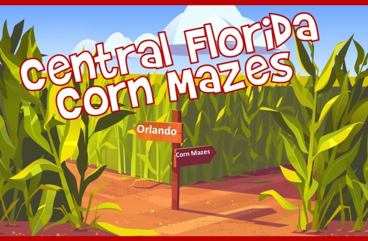 Corn Mazes