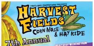 Harvest Fields