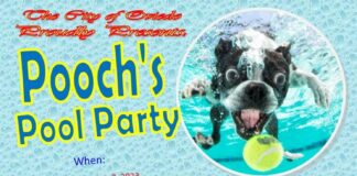 Pooch's Pool Party