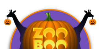 Zoo BOO Logo Updated 2023 1 768x767