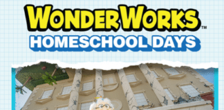 wonderworks homeschool days