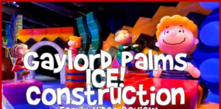 Gaylord Palms ICE! Construction