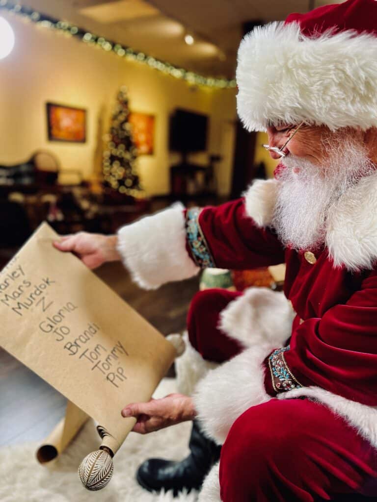 Santa's Enchanted Workshop Family Video Review