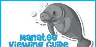 Manatee Guide