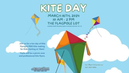 Kite Day