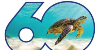 SeaWorld 60th Logo Turtle