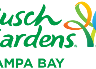 Busch Gardens Tampa Bay svg