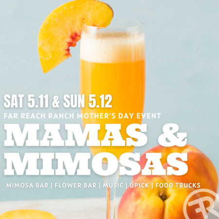 Mamas and Mimosas